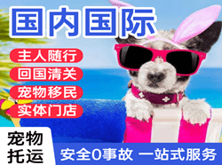 舟山航空快递国际宠物托运 【国